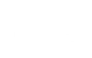 white-logo